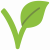 Vegan